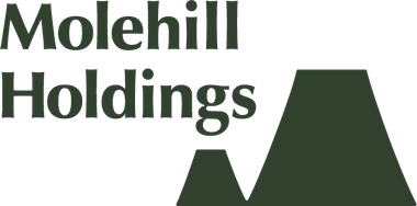 Molehill Holdings